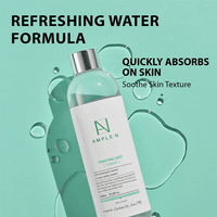 AMPLE:N Purifying Shot toner 600ml - DODOSKIN