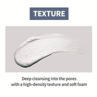 esfolio Hyaluronic Acid Houttuynia Cordata Cleansing Foam 100ml - DODOSKIN