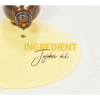 (NEWA) BEAUDIANI Jojoba Oil 100ml - DODOSKIN