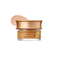 SKINFOOD Salmon Dark Circle Concealer Cream 10g