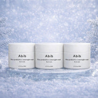 Winter Repair Bundle Set 4 (Barrier)