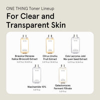 ONE THING NIACINAMIDE 10% 150ml - DODOSKIN