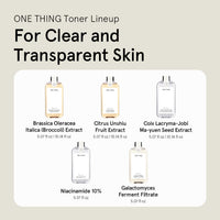 ONE THING Galactomyces Ferment Filtrate 150ml - DODOSKIN
