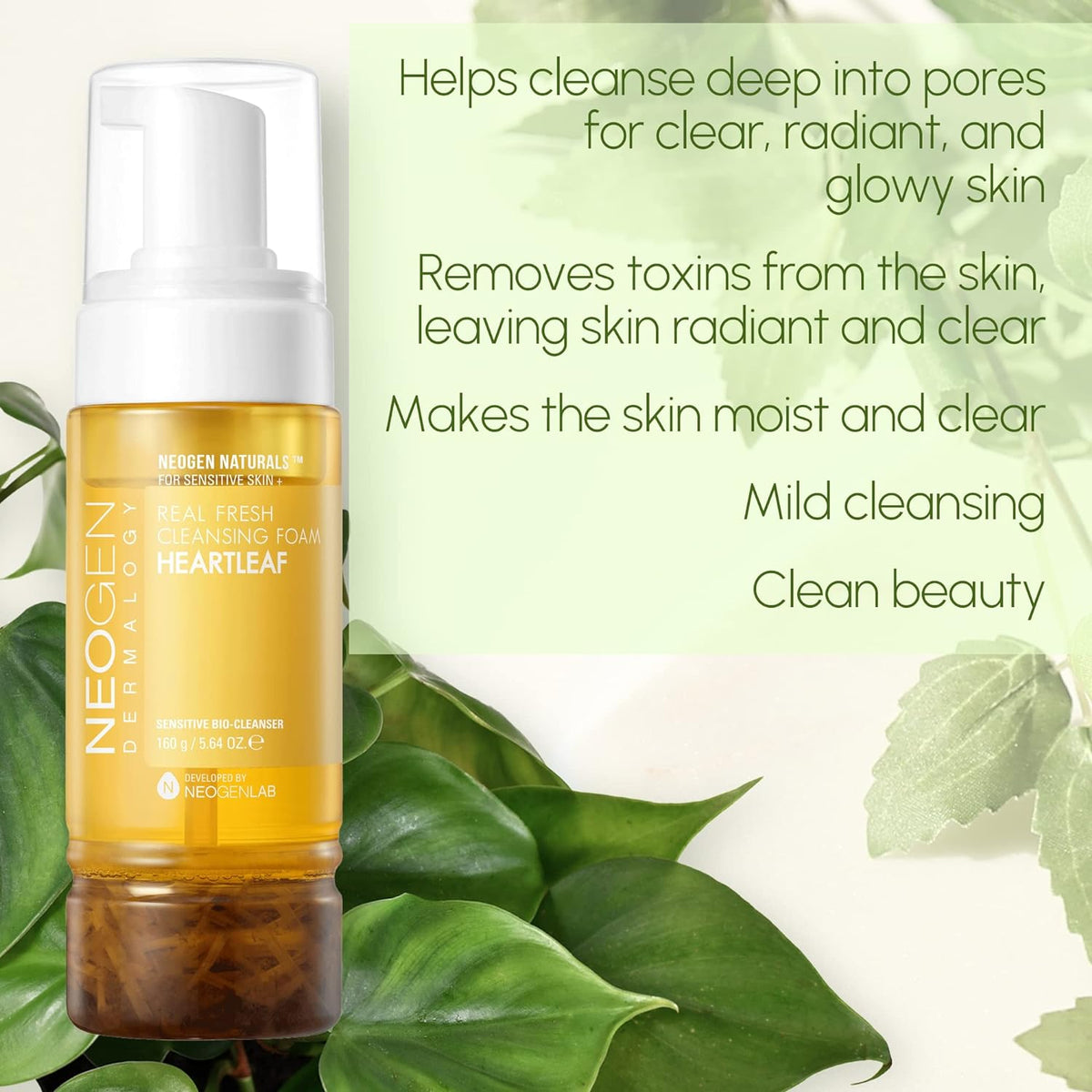 NEOGEN DERMALOGY Real Fresh Foam Cleanser Heartleaf 160g
