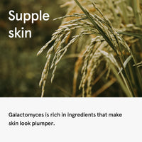 ONE THING Galactomyces Ferment Filtrate 150ml - DODOSKIN