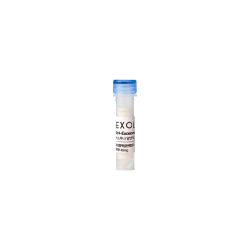 EXOLUNA RN-Exosome™ Scalp Booster Ampoule 60ml + RN-Exosome™ Activator 40mg