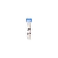 EXOLUNA RN-Exosome™ Scalp Booster Ampoule 60ml + RN-Exosome™ Activator 40mg