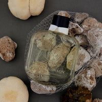 HOTEL DAWSON Welcome to the Pleasuredome Room Diffuser (250ml) - Black Cherry, Musky & Sweet Scent (Main Diffuser + Fur Coaster + 5 Reed Sticks Set)