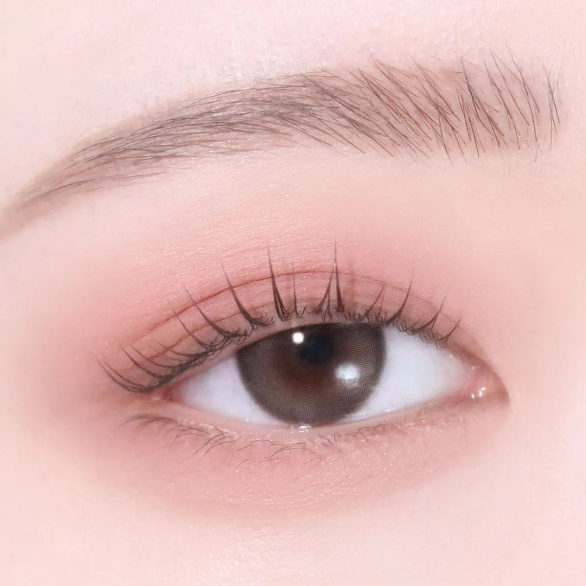 hince Single Eyeshadow 14 colors