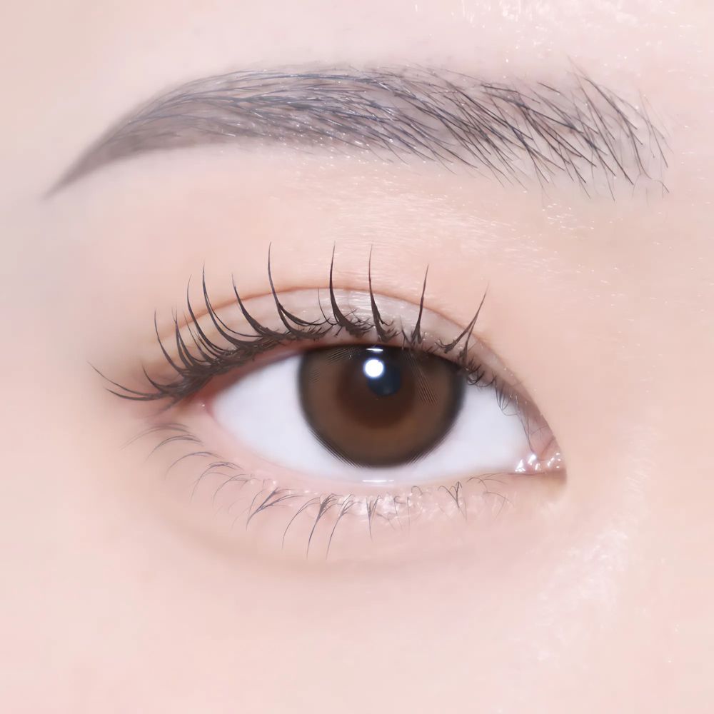 02 Brown