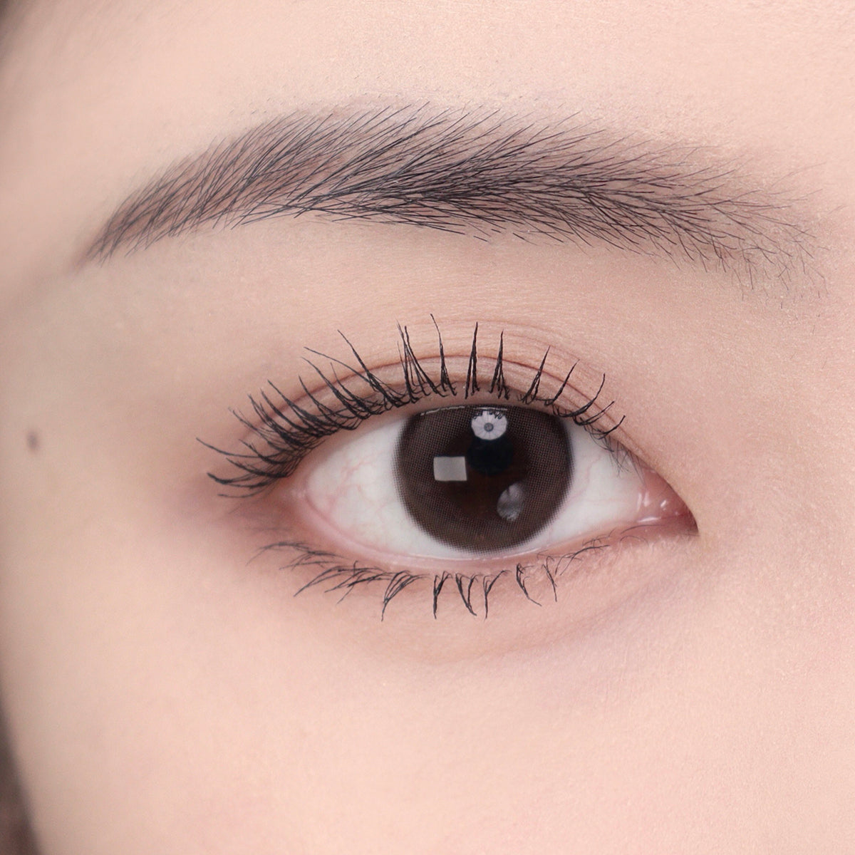 02 Clear Lash