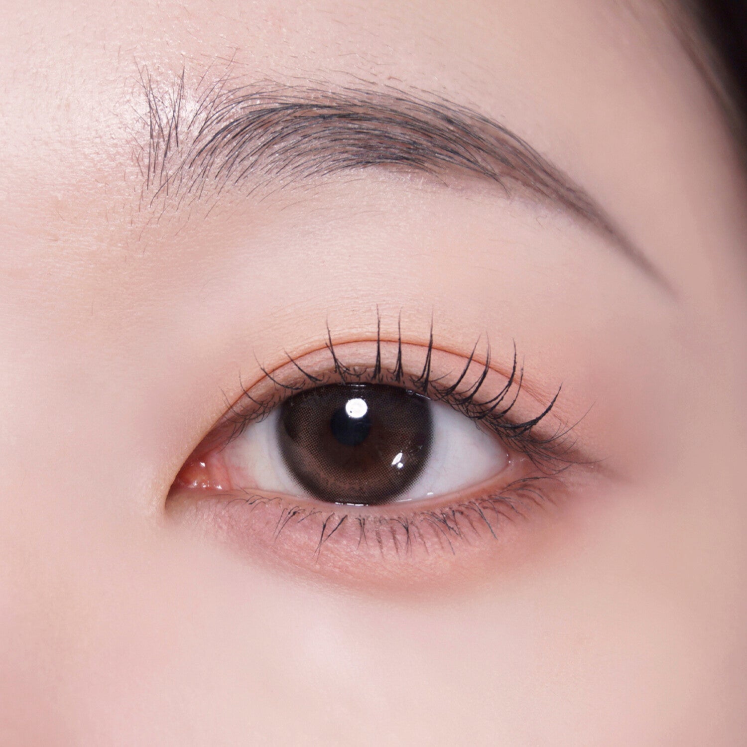 #02 Shade Brown