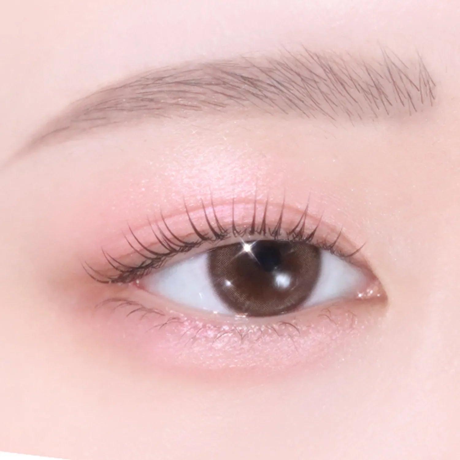 04 Tearful Rose [Shimmer]