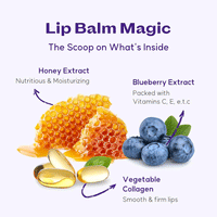 FRUDIA Blueberry Hydrating Honey Lip Balm 10g - DODOSKIN