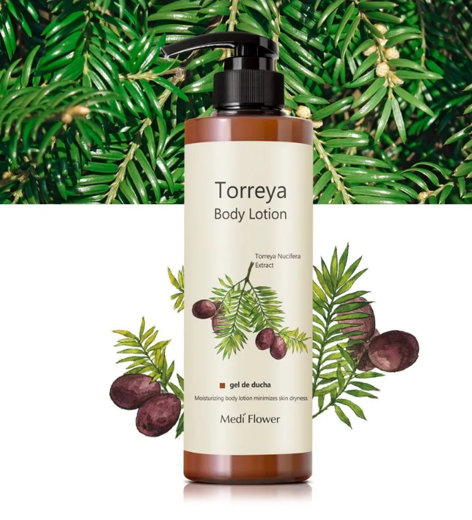 Torreya