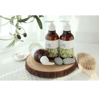 BONAJOUR Tea Tree AC Control Body Wash 300ml