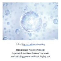 esfolio Hyaluronic Acid Houttuynia Cordata Cleansing Foam 100ml - DODOSKIN