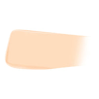 JUNG SAEM MOOL Pro-lasting Flawless Fit Mesh Cushion SPF50+ PA++++14g 6 colors