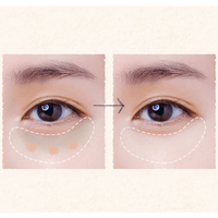 SKINFOOD Salmon Dark Circle Concealer Cream 10g