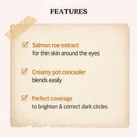 SKINFOOD Salmon Dark Circle Concealer Cream 10g