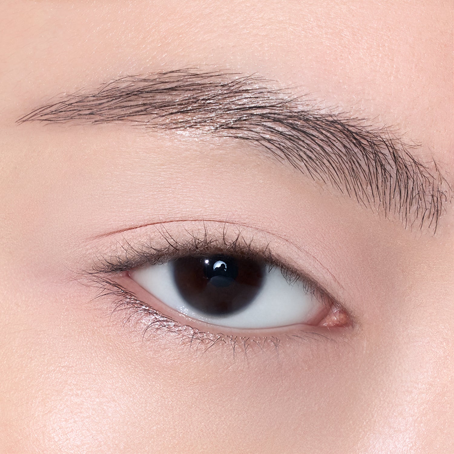 3CE Layer It All Eye Palette 5 Colors