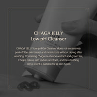 ONEOSEVEN Chaga Jelly Low pH Cleanser 120ml - DODOSKIN