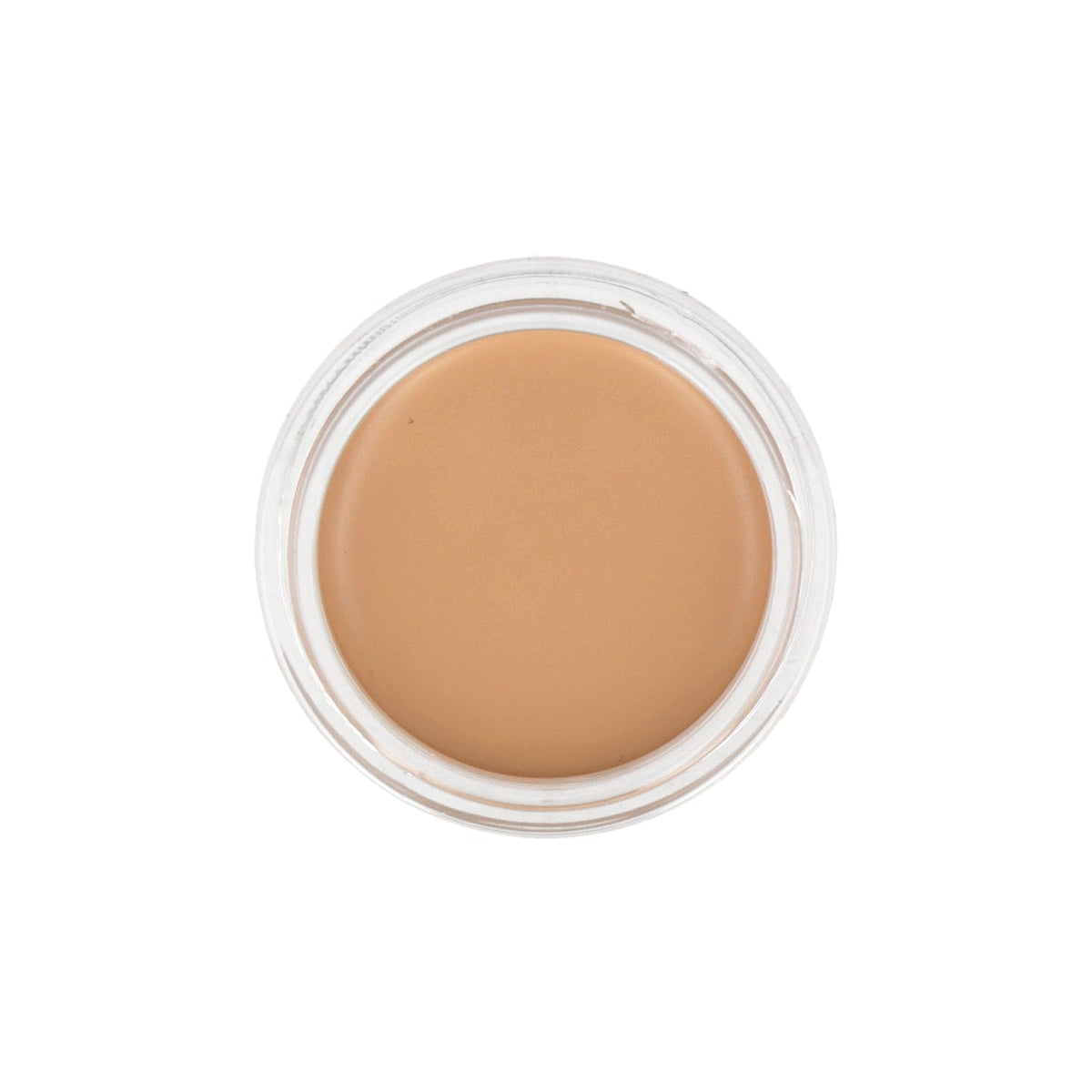the SAEM Cover Perfection Pot Concealer 6g (Renewal) - DODOSKIN