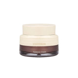 the SAEM Sooyeran Radiance Cream 60ml (Renewal)