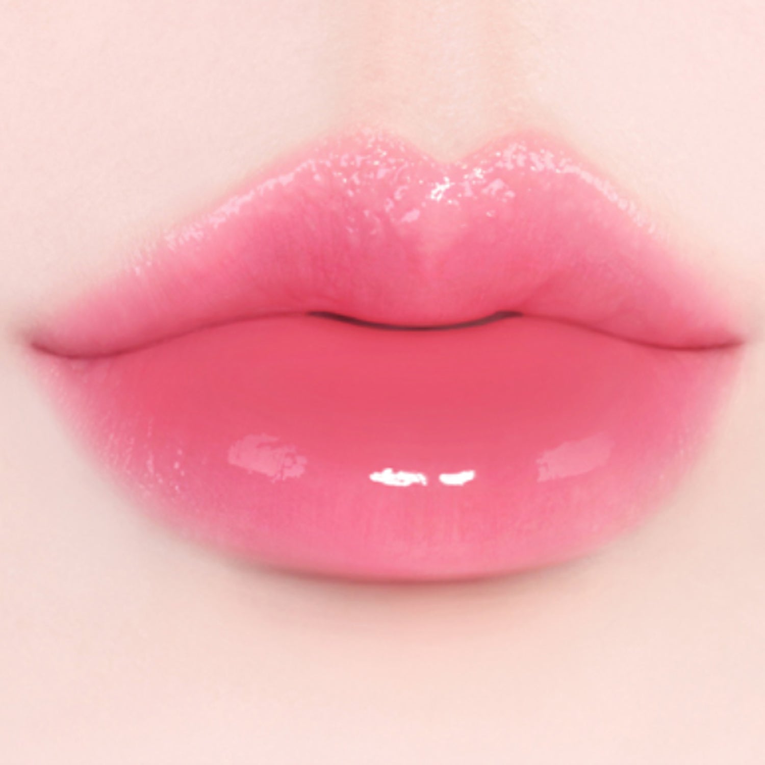02 Sorbet