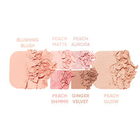 AMUSE Vegan Face AllL Palette 2colors 16.3g