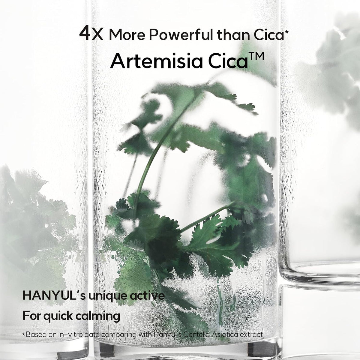 HANYUL Pure Artemisia Trouble Calming Mist 120ml Refill Set (+120ml Refill)