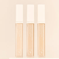 HEVE BLUE Pentaberry Panthenol Repair Concealer 8.5g