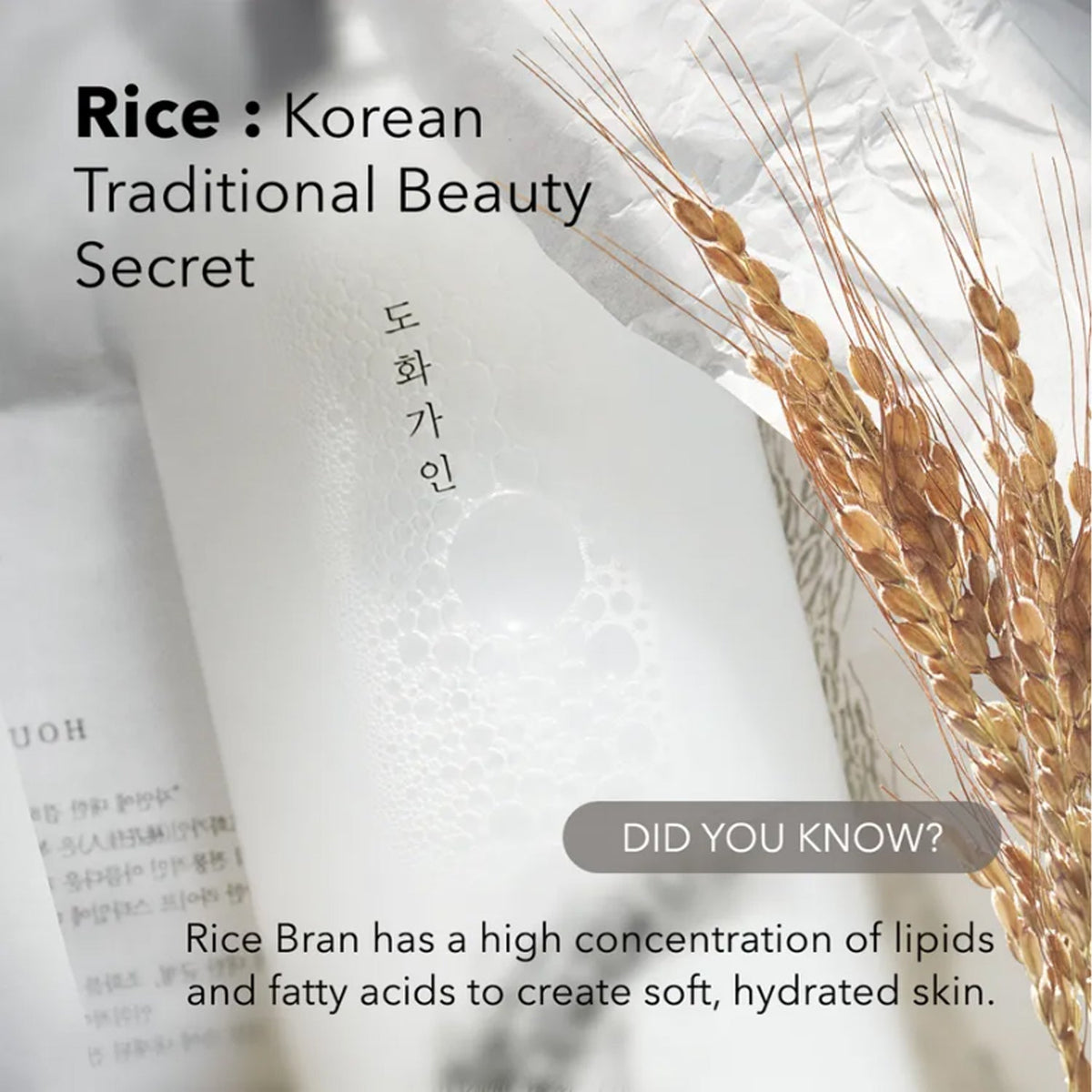 House of Dohwa Rice Bran Toner 200ml
