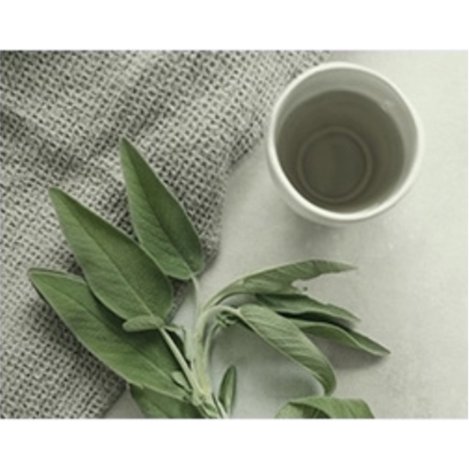 Apple Green Tea