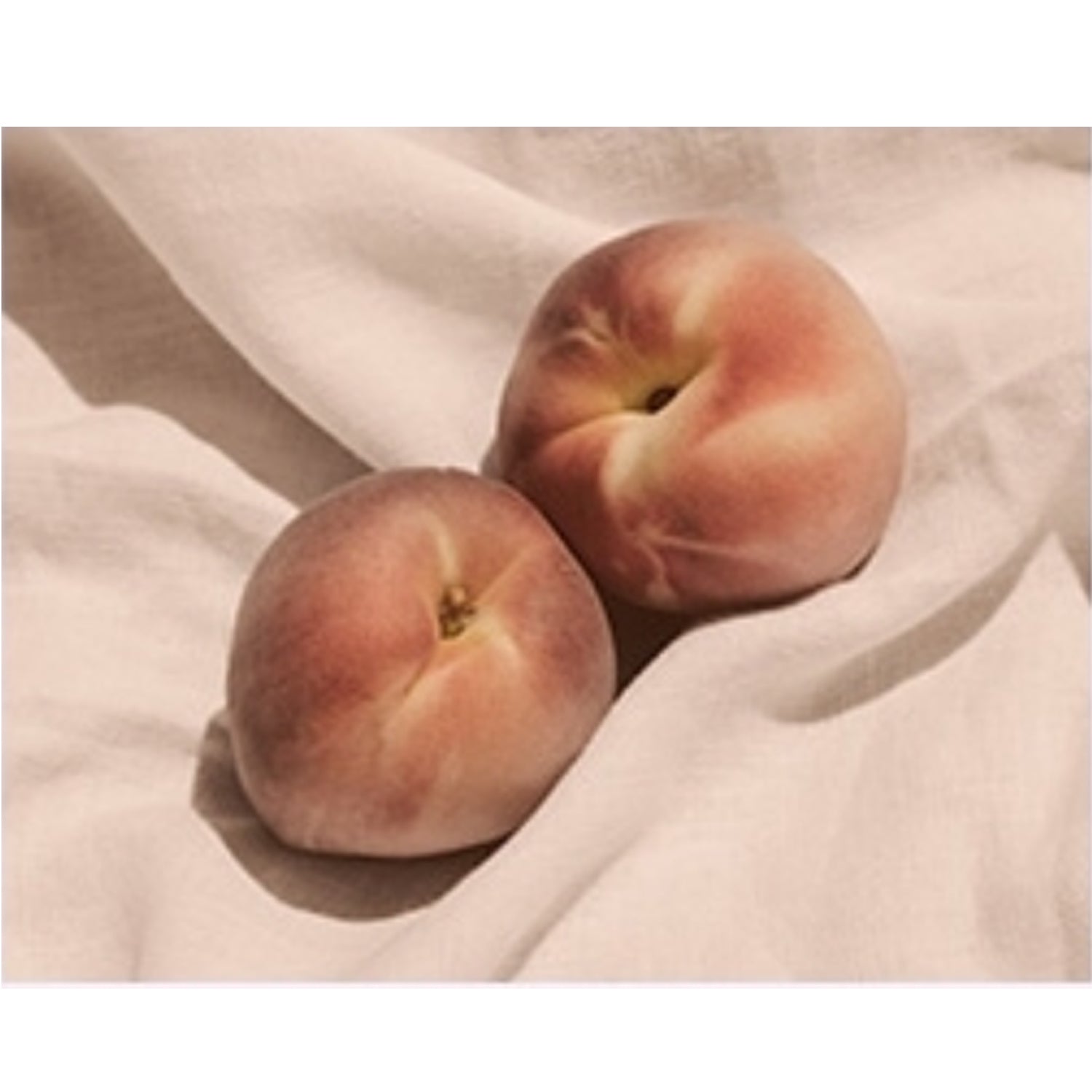 Fuzzy Navel