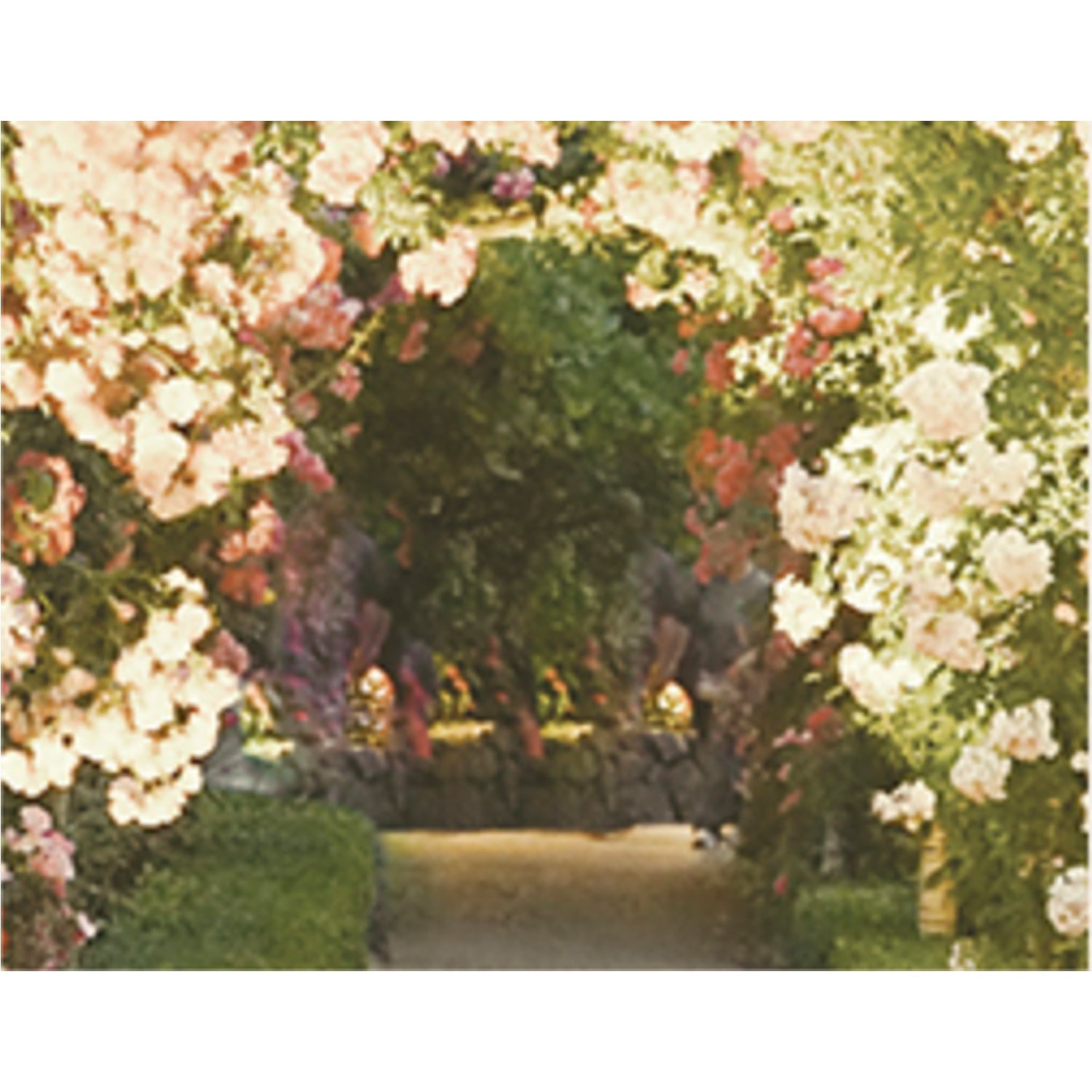 Flower Garden
