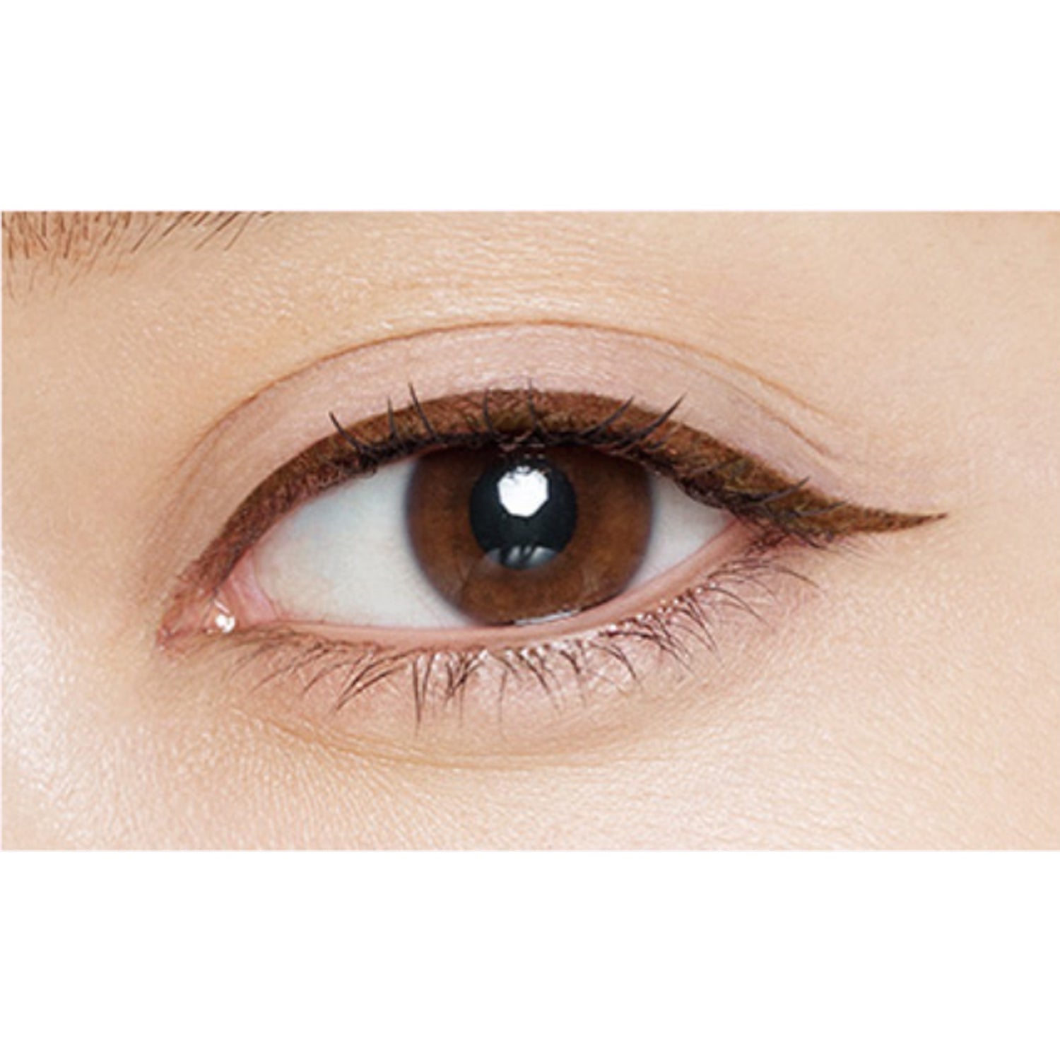03 Brown