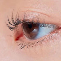 CLIO Kill Lash Super Proof Mascara 7g 3 types
