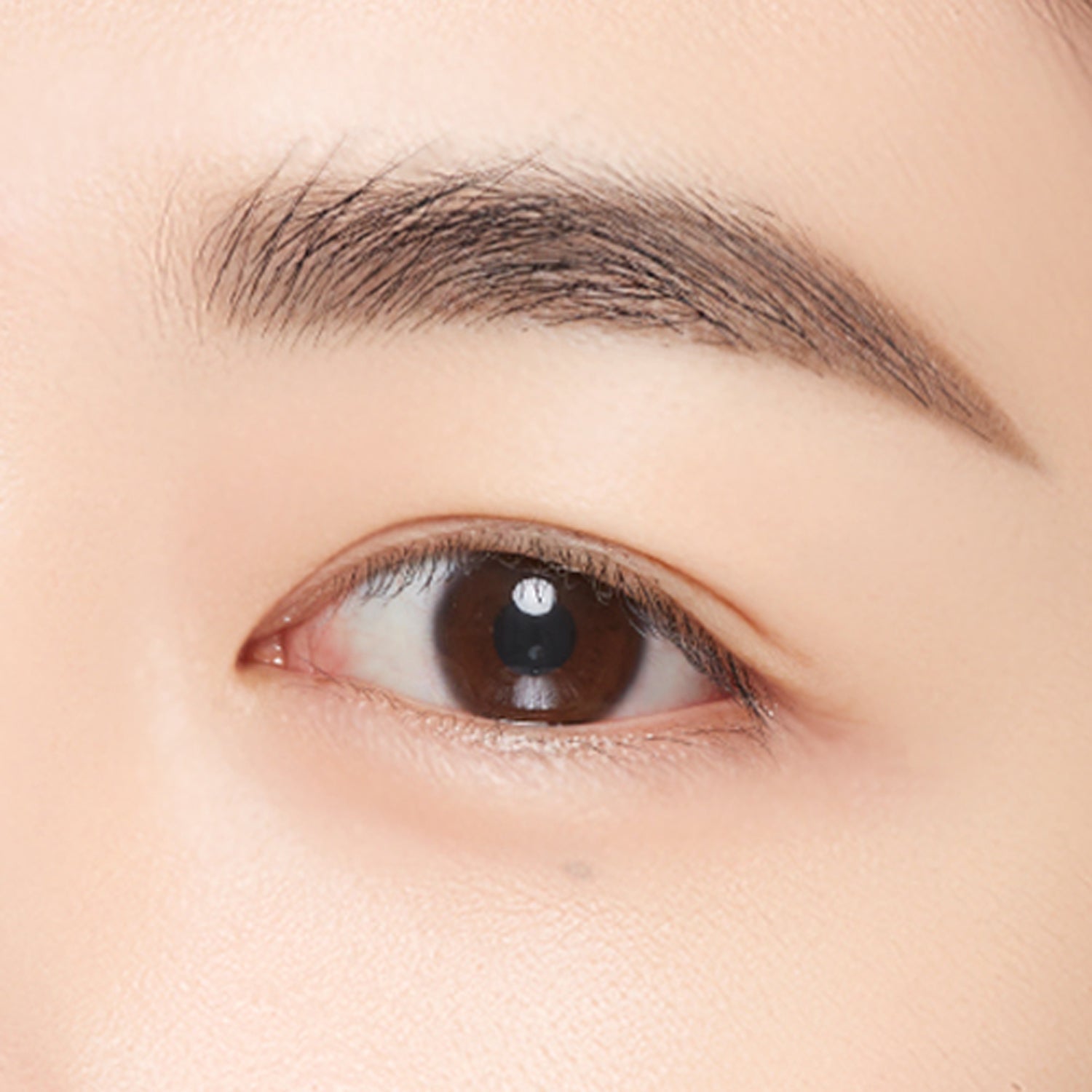 Grey Brown