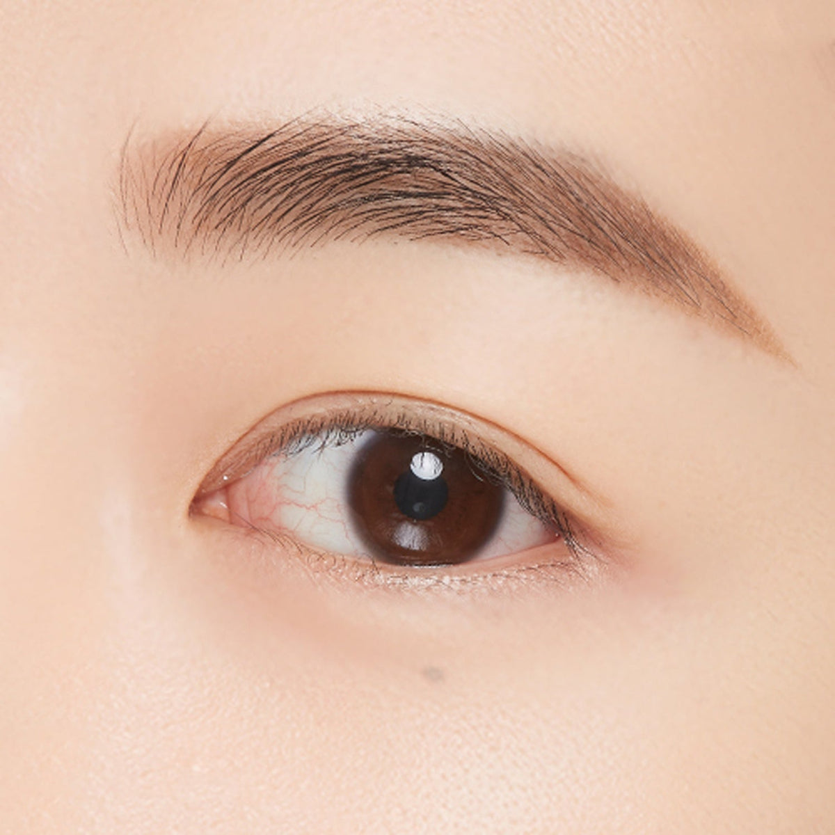MISSHA Perfect Eyebrow Styler 15g 6 colors
