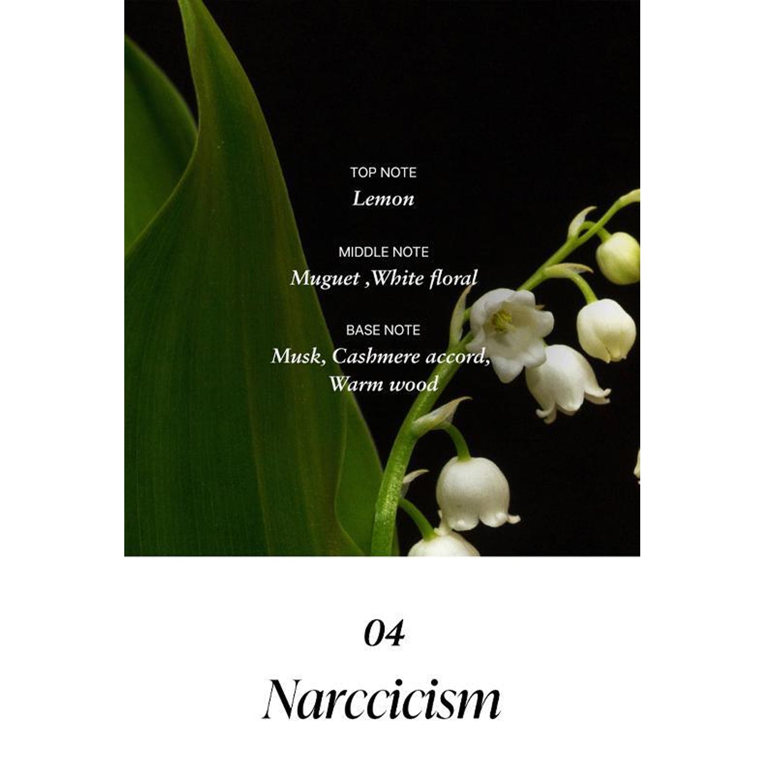 Narccicism