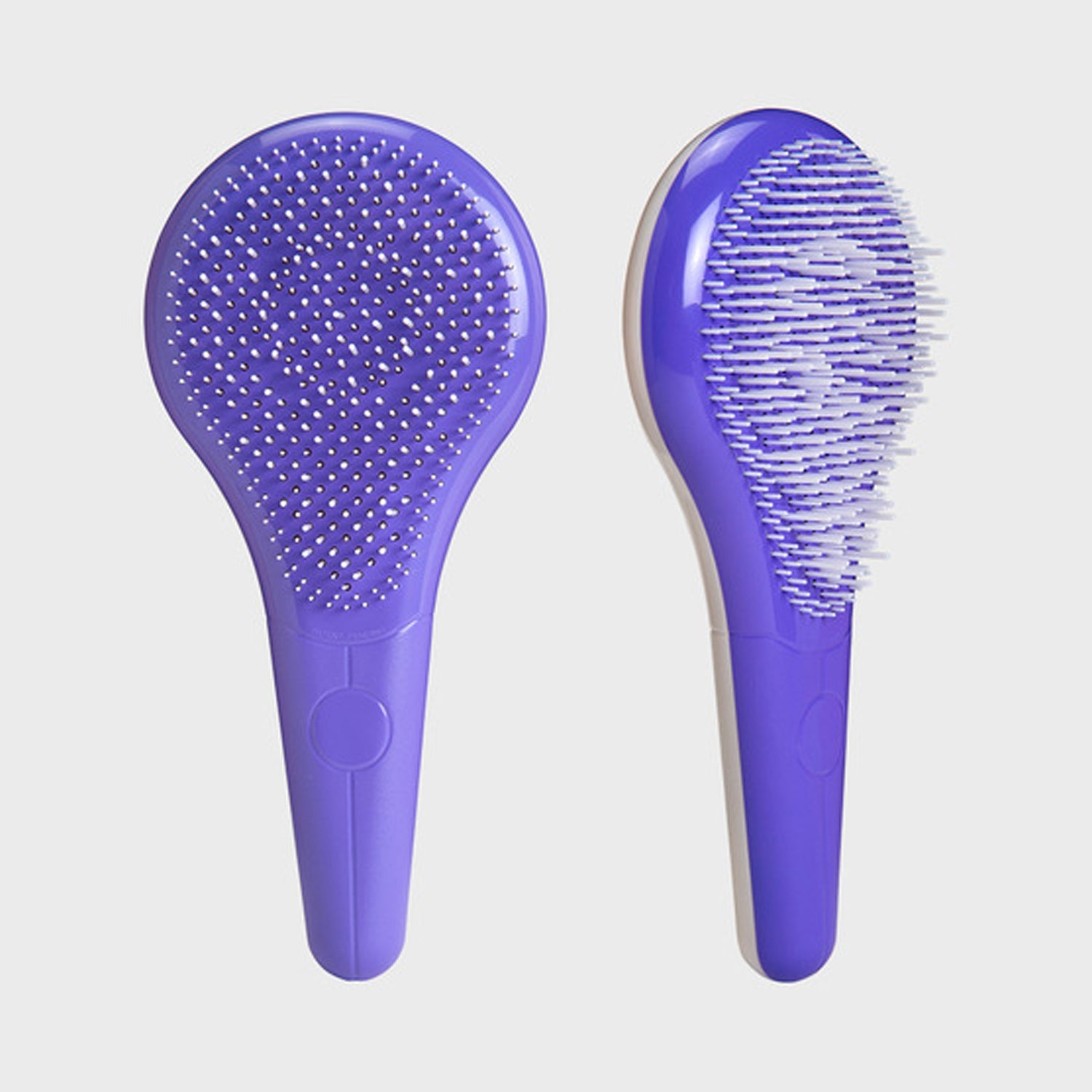 Purple (Regular)