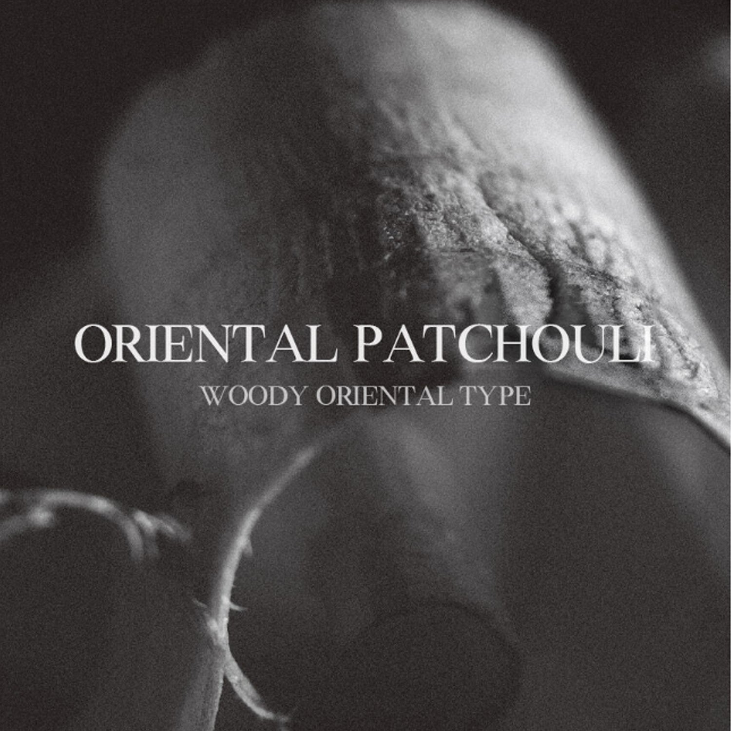 Oriental Patchouli