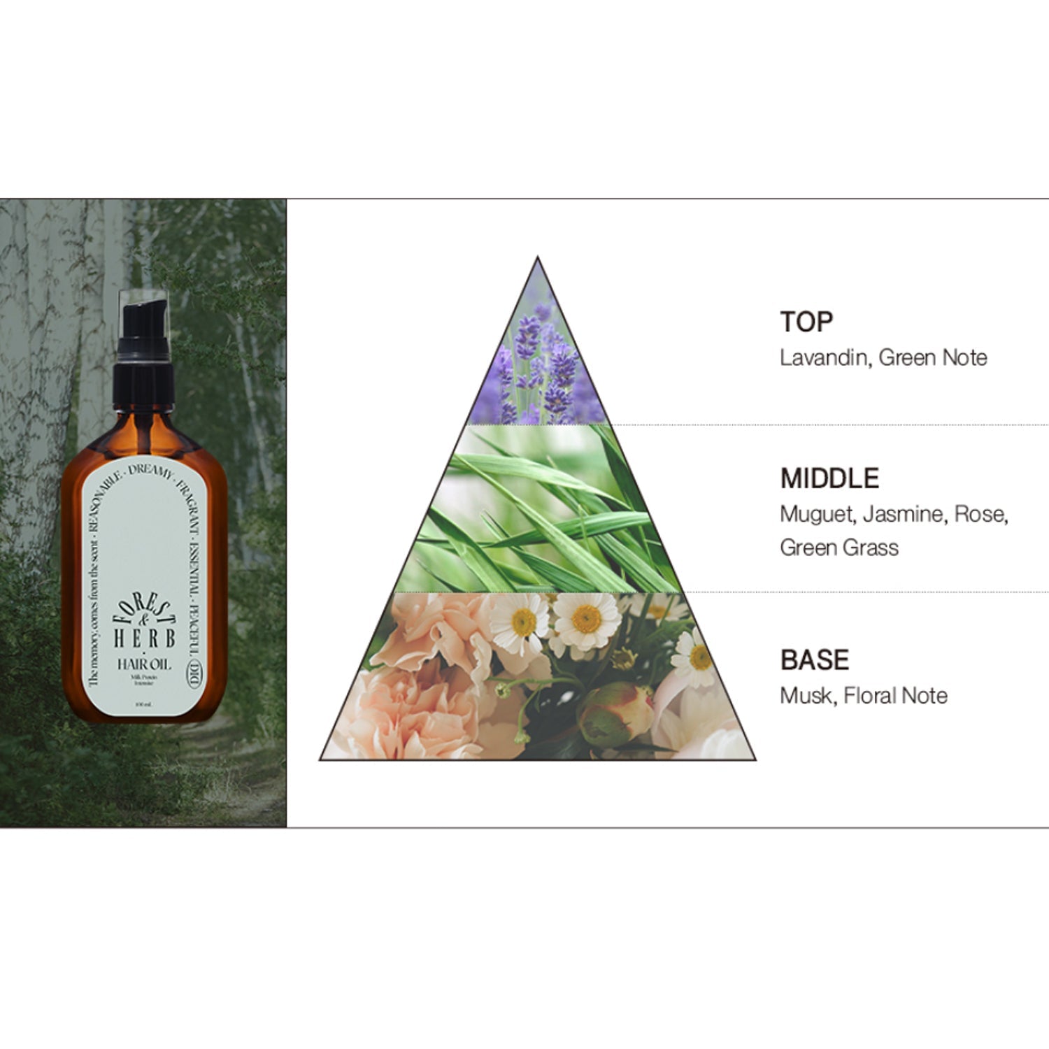 Forest Herb