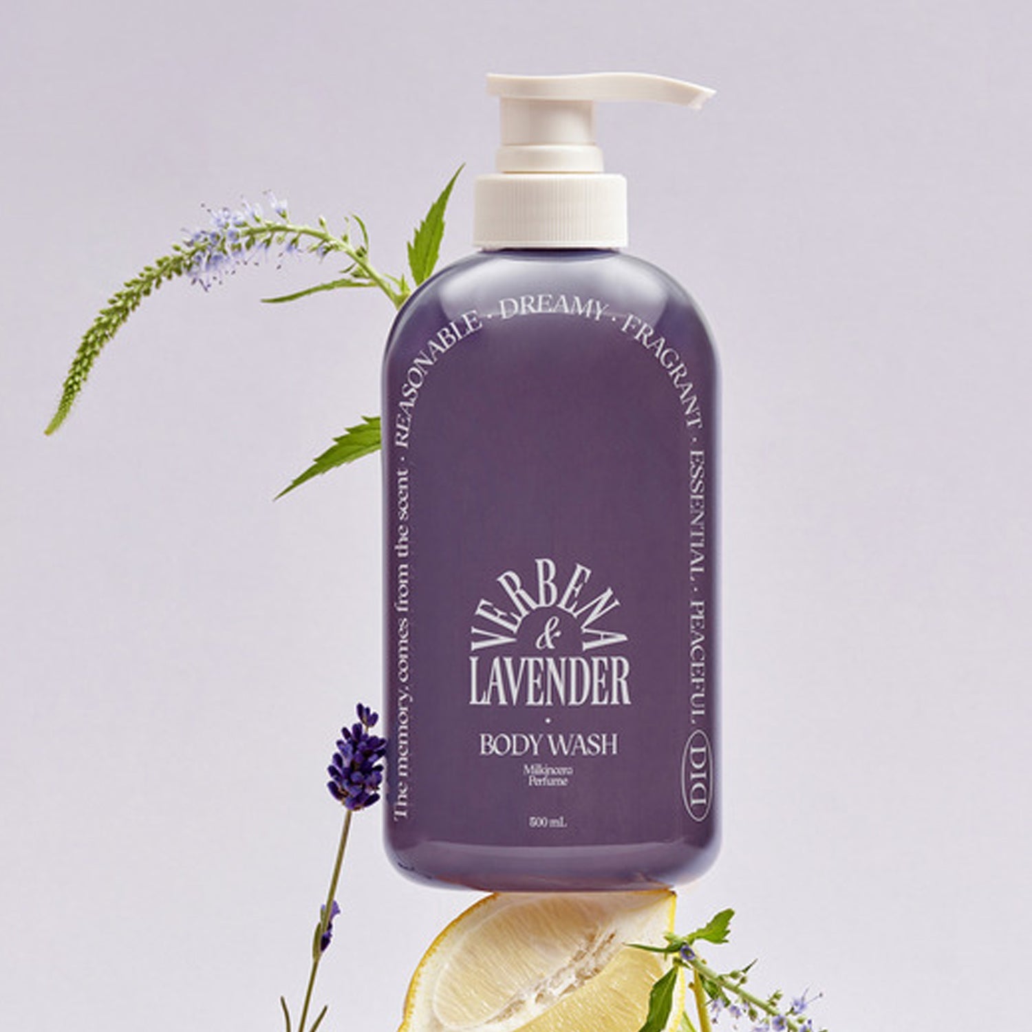 Verbena Lavender