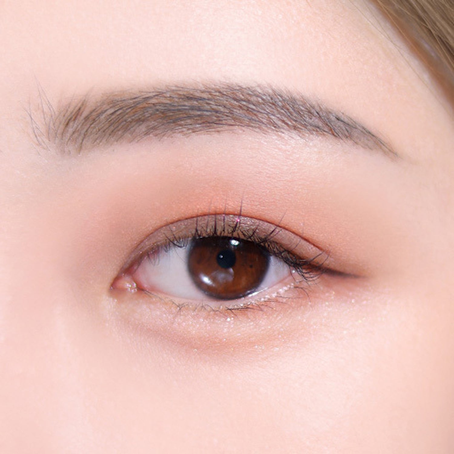 02 Taupe Gray
