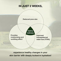 TOUN28 Haenam 404 Pepta-Cica Hydrator Moisture Cream 50g
