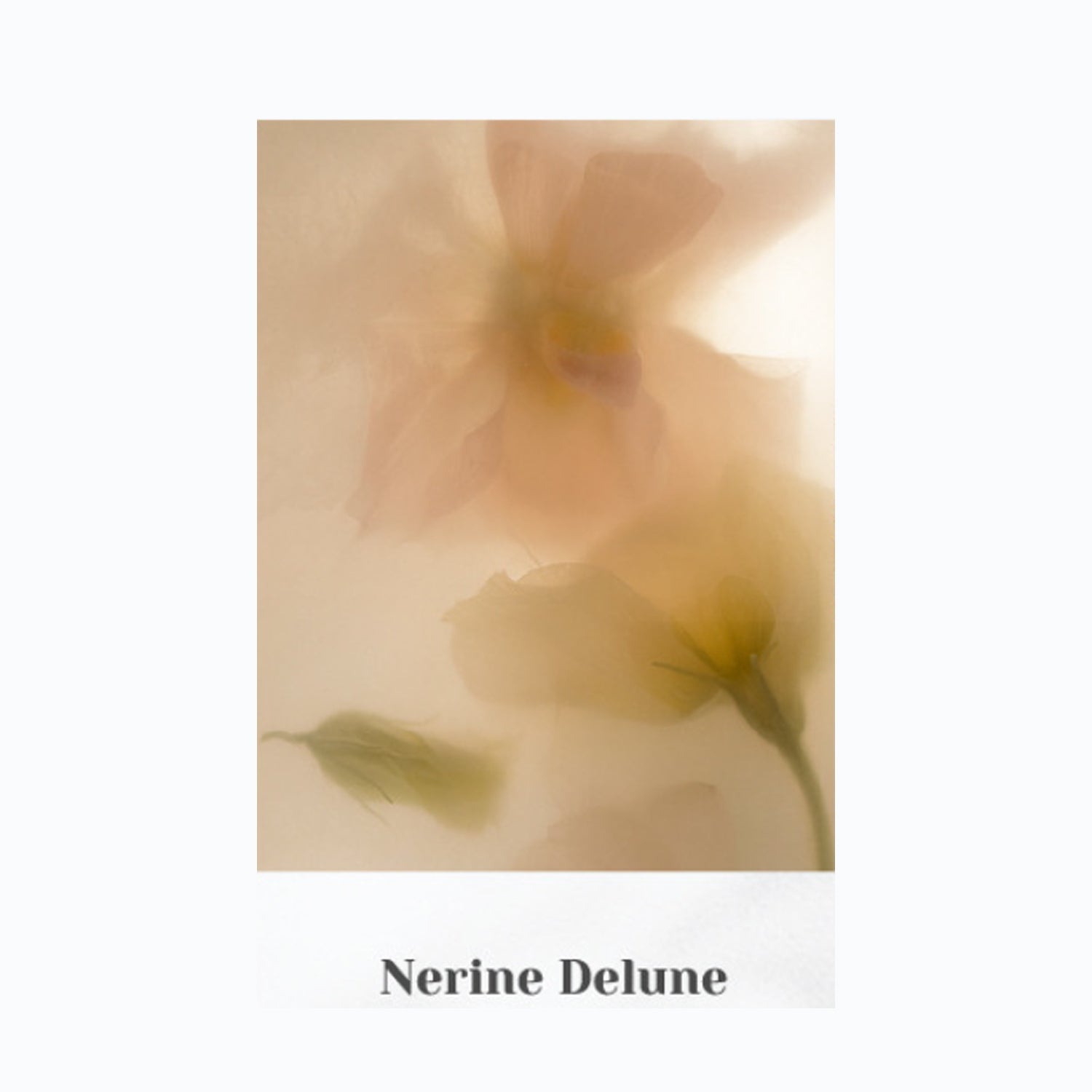 Nerine Delune