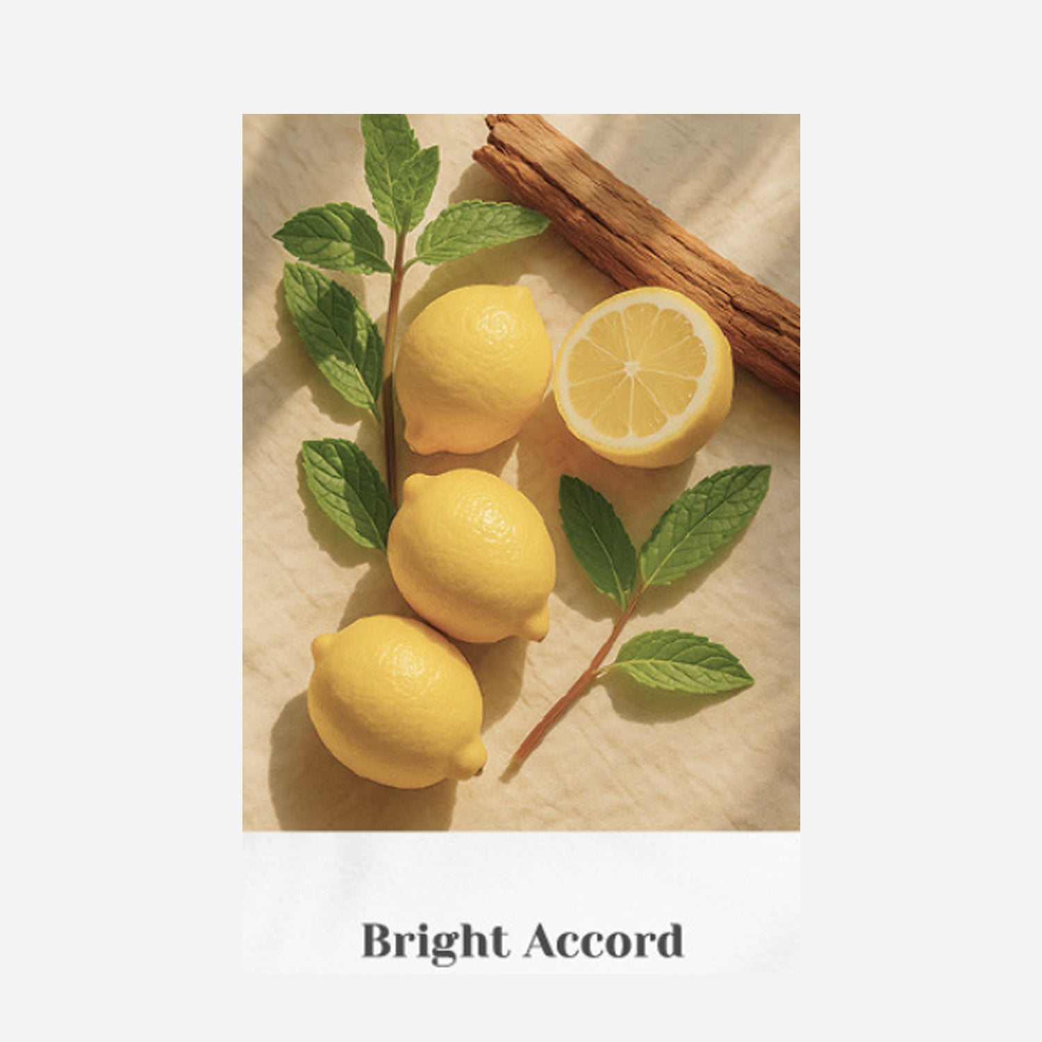 Bright Accord