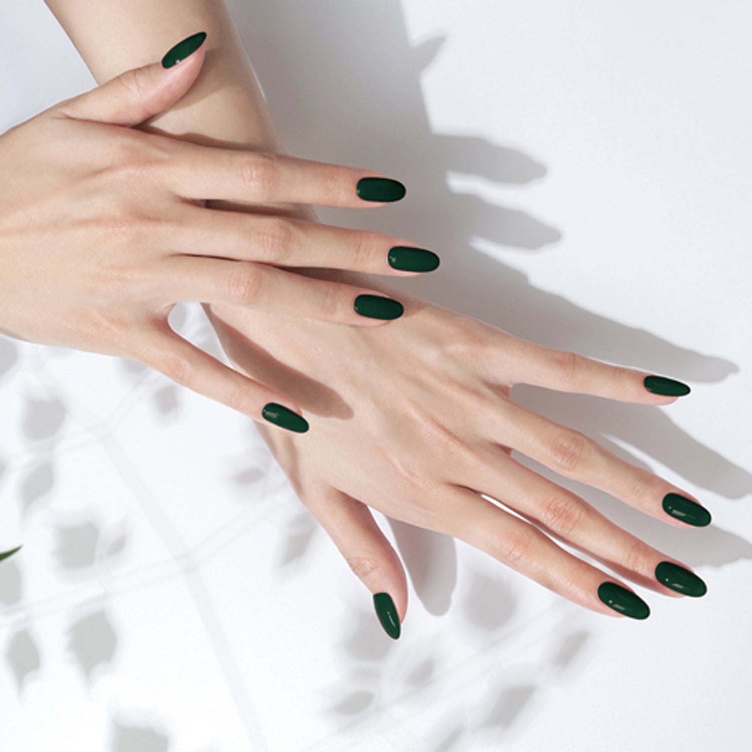 W04 Marimo Green
